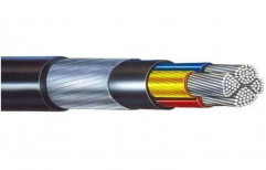 Polycab 4 Core Aluminium Armoured XLPE HT Cable