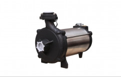 1 HP Electric Lakshmi Water Pump