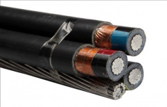 Lt Ab Cable