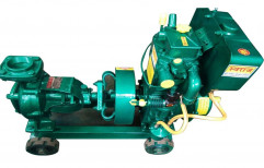 Swaraj Diesel Engine Pump Set, 12. HP